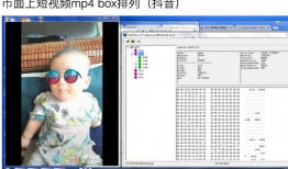 mp4的短视频,浓缩时光，捕捉瞬间